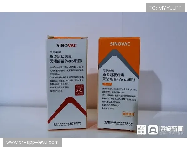 世界篮球学院推动国际认证与课程互认便利人才流动,reason国际篮球学院