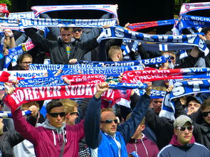 乐鱼体育官网优惠-球迷文化盛宴：从欧洲到亚洲的足球狂欢，中国足球球迷文化